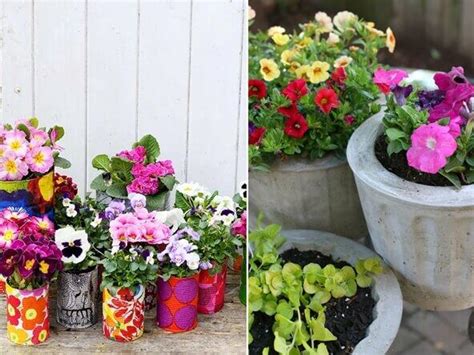 Flower Pot Ideas