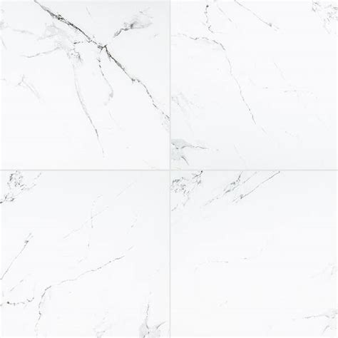 Reviews For Home Decorators Collection Carrara White 24 In X 24 In