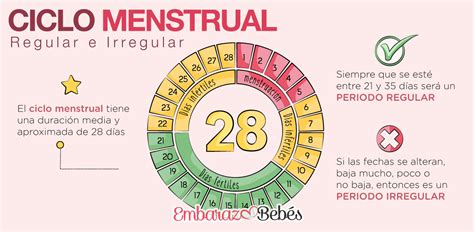 Si soy irregular puedo quedar embarazada ovulación y días fértiles