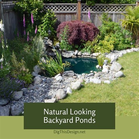 Natural Looking Backyard Ponds Dig This Design