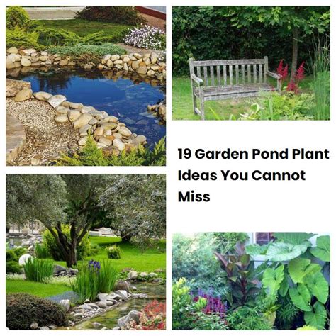 19 Garden Pond Plants Ideas You Cannot Miss | SharonSable