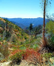 Angeles National Forest - Wikipedia