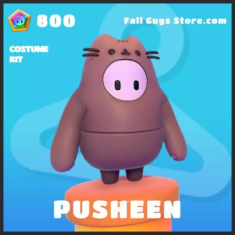 Pusheen Costume Set