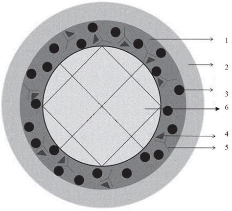 Protease Sensitive Fluorescent Light And Magnetism Dual Response Micro