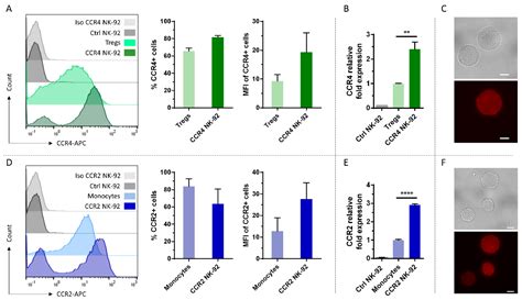 Ijms Free Full Text Efficient Redirection Of Nk Cells By Genetic