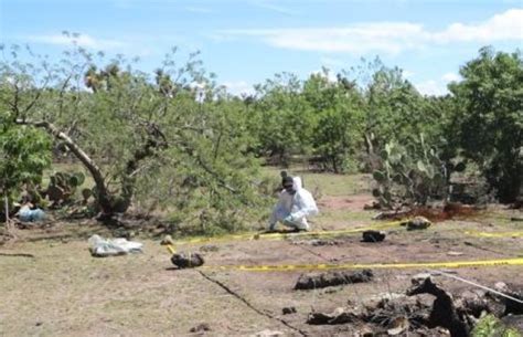 Descubrieron Narco Fosa Con Los Restos De Dos Personas Ejecutadas En