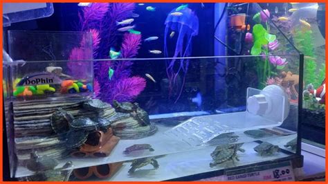 15 Kedai Aquarium Ipoh Near Me Terbaik Murah