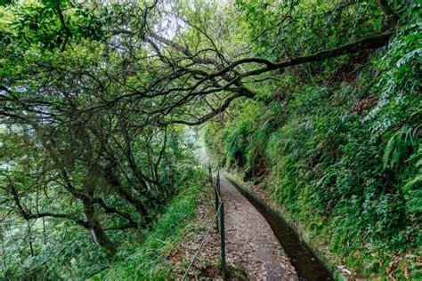 7 schönsten Orte und Städte auf Madeira