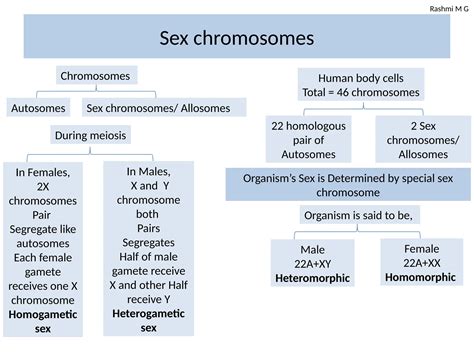 Sex Linkage An Overview Introduction Significance Pptx