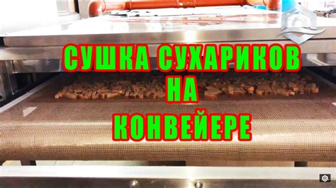 Сушка 🍞сухариков на сушильном 🔴инфракрасном конвейере — УКРСУШКА - YouTube