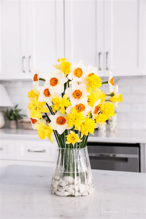 Daffodil Bouquet - Domestically Blissful