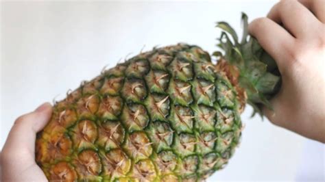 How To Plant a Pineapple Top (Tutorial With Pictures)