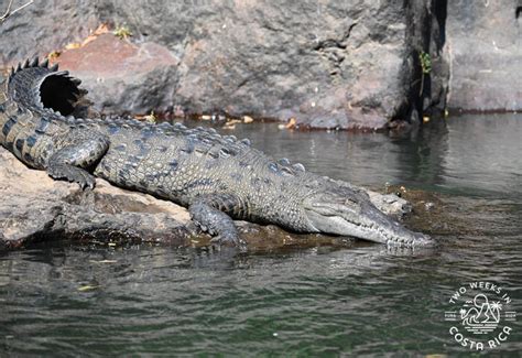 River Float Wildlife Tour Llanos De Cortez Waterfall Private Tour