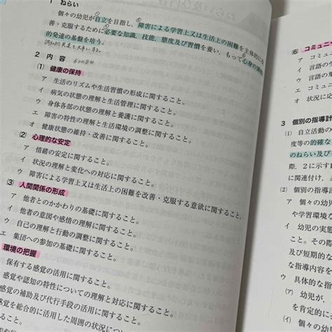 特別支援学校幼稚部教育要領 小学部・中学部学習指導要領 平成29年4月告示の通販 By いぶきs Shop｜ラクマ