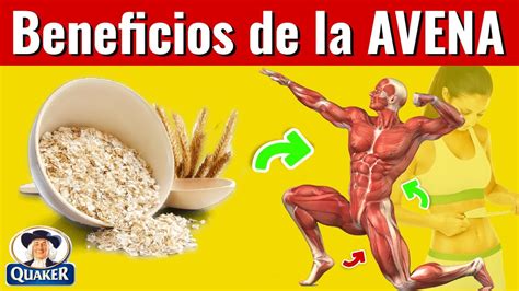 Grandes Beneficios Y Propiedades De Comer Avena Quaker Todos Los D As