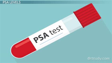 What Is Psa Definition Test And Normal Levels Lesson