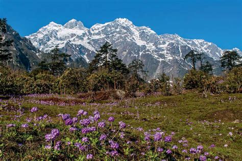 Things To Do In Sikkim