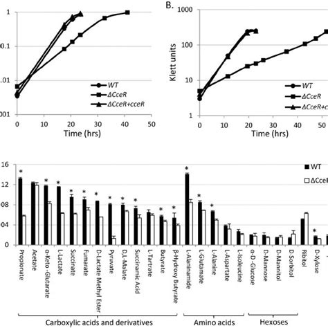 Growth Phenotypes Of The ⌬ Ccer Strain Growth Of Wt ⌬ Ccer And