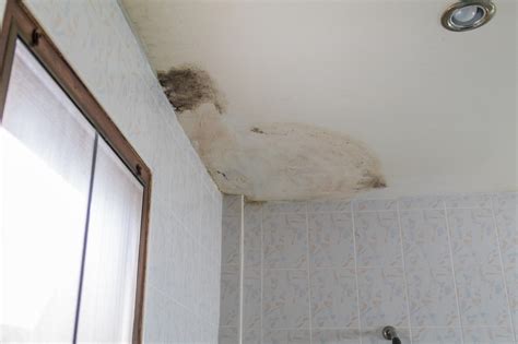 How To Get Rid Of Mold From The Bathroom Ceiling Storables