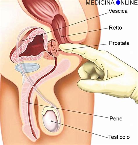 Film Risorsa Invadere Massaggi Prostatici Video Spruzzatina Contrasto