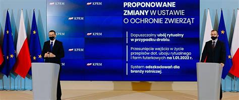 Zmiany w ustawie o ochronie zwierząt co proponuje rząd