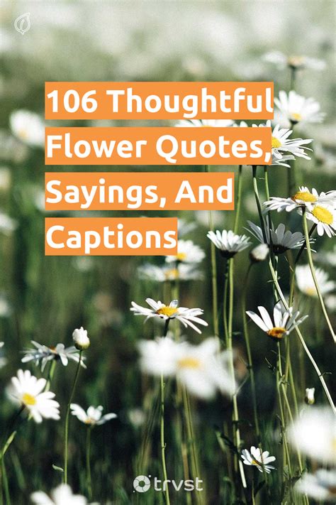 106 Thoughtful Flower Quotes Sayings And Captions Artofit