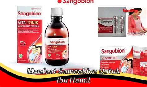 Temukan Manfaat Samcobion Untuk Ibu Hamil Yang Jarang Diketahui Biotifor