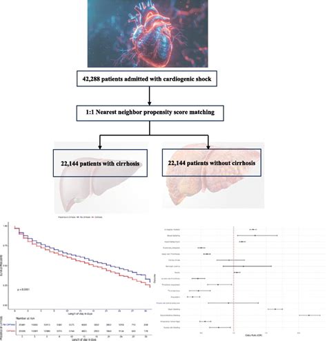 The Impact Of Liver Cirrhosis On In Hospital Outcomes Among Patients