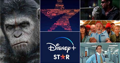 Star on Disney Plus: 15 movies and shows to binge watch