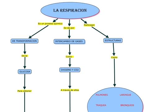 Juan Y Duvan MAPA CONCEPTUAL LA RESPIRACION 3268 The Best Porn Website