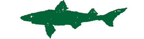 Dogfish Head Logo