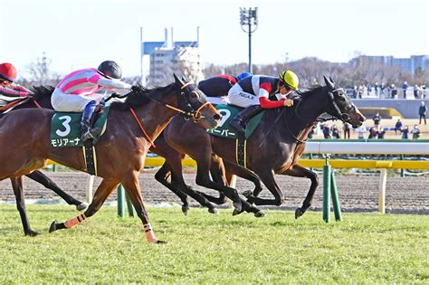 ハーパーの競走成績・血統・次走情報はwin競馬