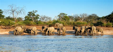 Exklusiv Charter Von Kapstadt Bis Dar Es Salaam 2024 African Explorer