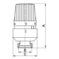 Thermostatisch Radiatorventiel Riko X Mm Recht Mat Zwart