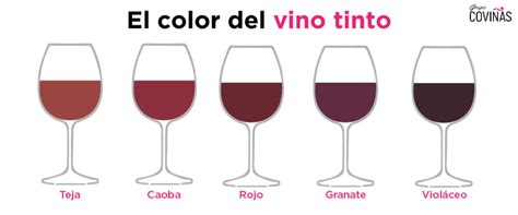 Conoces Todos Los Colores Del Vino Tinto Grupo Covi As Bodegas De