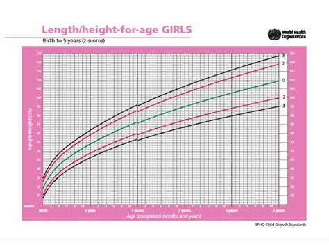 Patrones De Crecimiento Infantil De La Oms