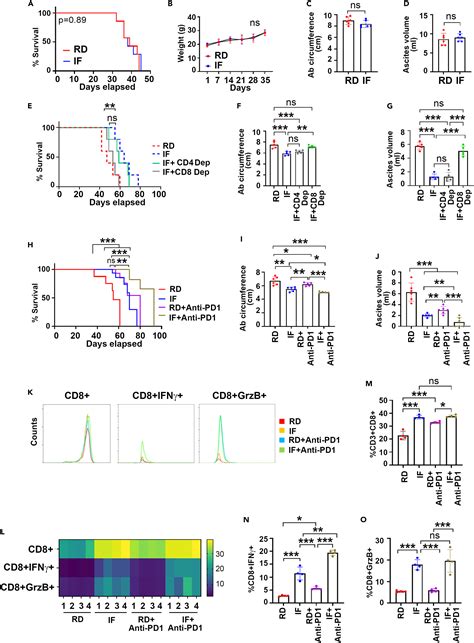 Intermittent Fasting Induced Ketogenesis Inhibits Mouse Epithelial