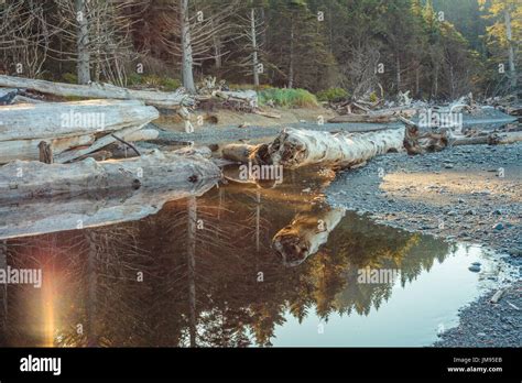 Rialto Beach, Olympic National Park, Washington, USA Stock Photo - Alamy