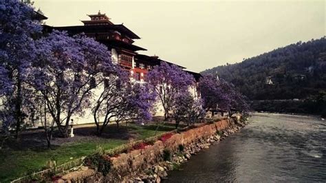 Book 4 Nights 5 Days Bhutan Tour Package at Reasonable Cost