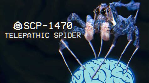 SCP 1470 Telepathic Spider Object Class Neutralized Arachnid