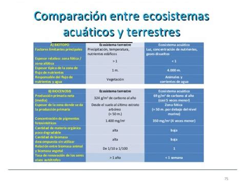 Los Ecosistemas Tipos De Diferencias Y Cuadro Comparativo Porn Sex Sexiz Pix