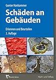 Architektur Der Bausch Den Schadensursache Gutachterliche Einstufung