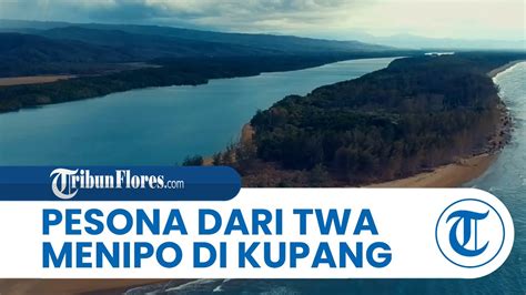 Pesona Taman Wisata Alam Menipo Di Kupang Suguhkan Keindahan Flora