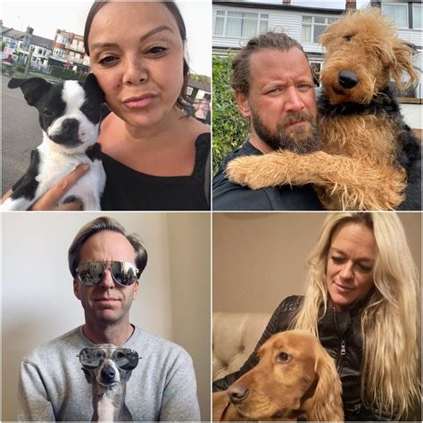 Dog Owners Look Like Their Pets at Maria Adkins blog