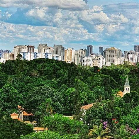 S O Jos Uma Das Cidades Mais Arborizadas Do Brasil Sjc O