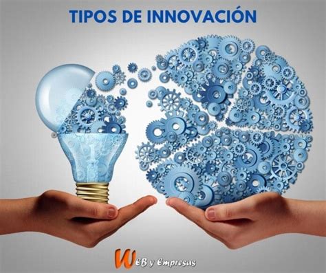 Cuáles son los tipos de innovación Web y Empresas