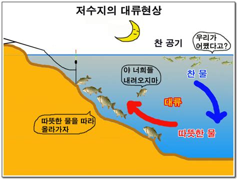 가을날 밤에 추워서 몸이 웅크려지는데도 저수지 물은 따뜻한 걸 보면 자연 이치의 오묘하고 신기함을 느낄 수가 있다