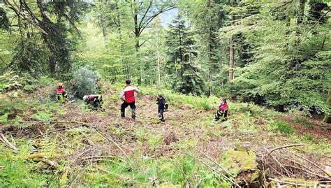 Feuerwehren Simulieren Waldbrand Und Ben Effektive