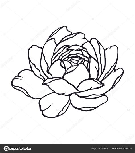 Hand Drawn Flowers Black Floral Vector Peony Flower Outline Silhouette