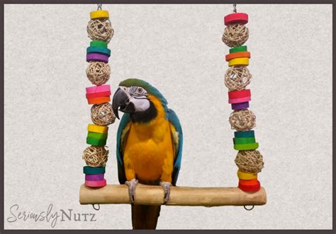 Hardwood Swing Seriously Nutz Bird Toys Large Bird Swing For